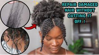 HOW TO REPAIR DAMAGED HAIR AT HOME without cutting it off
