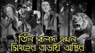 Three Stooges Unsettled by the lion  Bangla Funny Dubbing  Bangla Funny Video  Khamoka tv