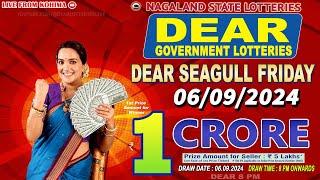 DEAR SEAGULL FRIDAY WEEKLY DEAR 8 PM DRAW DATE 06.09.2024 NAGALAND STATE LOTTERIES