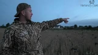 Gåsejakt 2023 - Goosehunting 2023 FULL HD