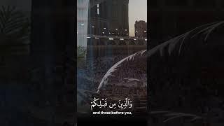 Worship Allah & Be Mindful  Abdul Ahad Hamed  Quran Recitation