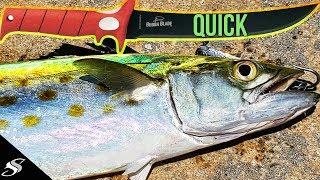 How to Clean a Spanish Mackerel in Under Two Minutes 