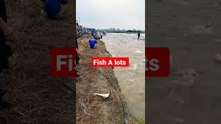 Fish A lots of fishing Catching hand FisherMan catch fish in the Pump pond village fishing videos