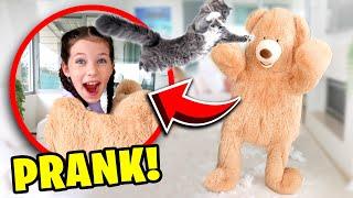 GIANT TEDDY BEAR PRANK ON OUR PETS The Empire Family