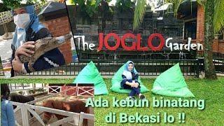 THE JOGLO GARDEN  Kebun Binatang di Bekasi  WISATA HITS & TEMPAT BERMAIN DIBEKASI