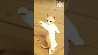 #cute Cat Dance #shorts #finnyvideo #lovestatus #ytshorts #dance #animals