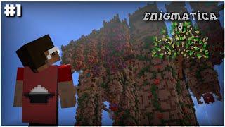 SO NEW AND FRESH  Enigmatica 6 Modpack #1