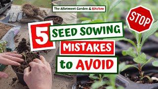 5 Seed Sowing Mistakes to Watch Out for When Sowing Veg or Flower Seeds #103