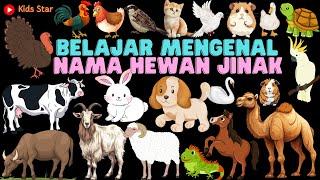 BELAJAR TEBAK NAMA BINATANG HEWAN JINAK  TAME ANIMALS LEARNING ANIMALS  BAHASA INDONESIA - INGGRIS