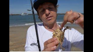 How to catch RED DRUM Redfish from Beach Pier and Inshore Flats Fishing