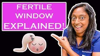 FERTILE WINDOW EXPLAINED