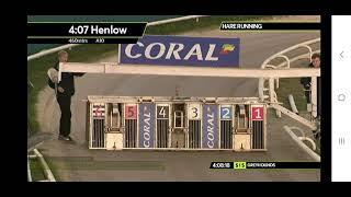 Carrera de galgos - Henlow 2020 