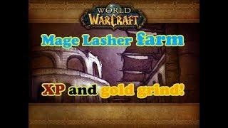 WoW Classic Dire Maul East  Mage AoE Lasher Farm for XP and Gold