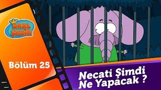 Necati Şimdi Ne Yapacak? #25 - @KralSakirResmi