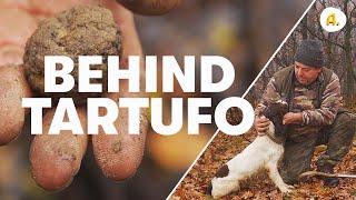 Behind Tartufo - Come si cerca il tartufo?