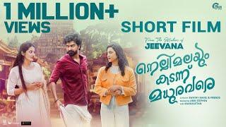 Nellimalayum Kadannu Madhura Vare  Malayalam Short Film  Swathy Manu