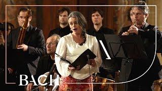 Bach - Cantate Wir danken dir... BWV 29 - Van Veldhoven  Nederlandse Bachvereniging