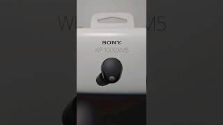Sony WF-1000XM5 Earbuds Unboxing Black