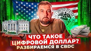 Что такое цифровой доллар? Разбираемся в CBDC