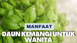 Manfaat Daun Kemangi untuk Kesehatan Wanita dan Cara Mengolahnya