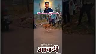 लवकरच कमबॅक#हिंदकेसरी दिगु गावडे म्हणत्यात#short#ytshort#viral #trending#entertainment#motivatio