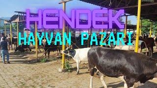 04062024 SAKARYA Hendek hayvan pazarı