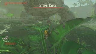 BotW Stone Talus Lake Floria