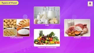 Healthy Foods  Science for Kids  Grade 3  Periwinkle