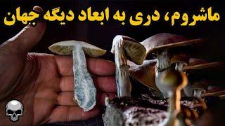 ماشروم، توهم زا یا دری به ابعاد دیگه جهان؟