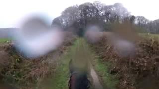 Woah Shamrock Rider loses control of retired racehorse.