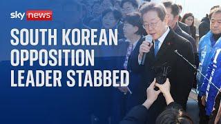 Lee Jae-myung South Korean opposition leader stabbed in the neck