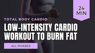 All Phases Low-Intensity Steady-State LISS Cardio Workout To Burn Fat No Equipment No Jumping