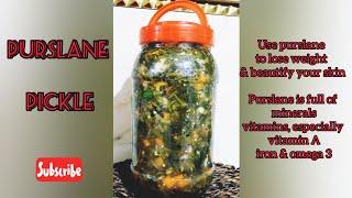 How To Make Purslane pickle