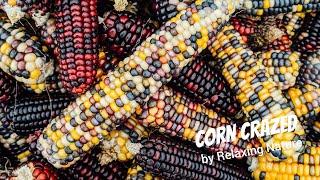 Corn Crazed – 150 minutes of Beautiful Relaxing Nature Music for Study Work Meditation Sleep