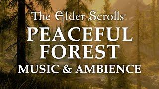 The Elder Scrolls Music & Ambience  Peaceful Forest 5 Beautiful Scenes with Calm Music Mix 6 Hrs