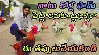  నాటు కోళ్ల పెంపకం  natu kollu farming information  Sonali breed chicken farming 