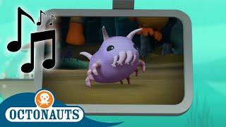 Octonauts - Cute Sea Pigs and Others  Cartoons for Kids  Creature Reports 