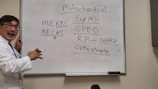 Mitochondrial Diseases in Neuro-Ophtho