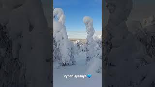 Pyhän Jyssäys is all year round trail in Ruka-Kuusamo  #rukakuusamo #visitfinland #visitlapland