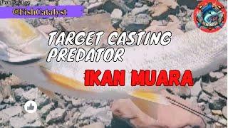 DILUAR DUGAAN‼️ CASTING IKAN PREDATOR DI MUARA SUNGAI DILUAR NALAR