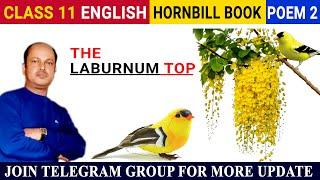 The Laburnum Top Class 11  English Hornbill Book Poem Explanation  Line by Line in Hindi