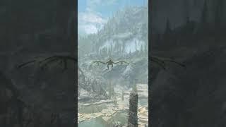 Skyrim but my Dragons are from Wish.com