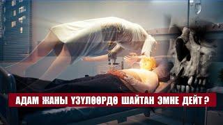 Адам жаны үзүлөөрдө шайтан эмне дейт?  Кыргызча котормо