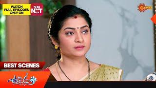 Uppena - Best Scenes  02 May 2024  Gemini TV