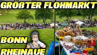 Ab auf den GRÖßTEN FLOHMARKT Deutschlands - Bonn Rheinaue  Retro Reselling Black Rabbit LIVE