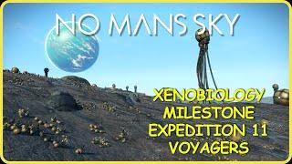 No Mans Sky Xenobiology Expedition 11 Voyagers