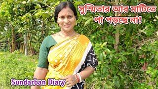 ভাবিনি আজ এটা সম্ভব হবেঅসাধ্য সাধন হয়ে গেল Sundarban Diary