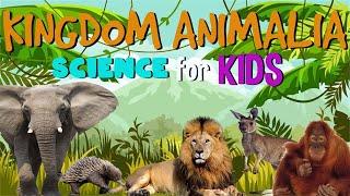 Animal Kingdom  Science for Kids