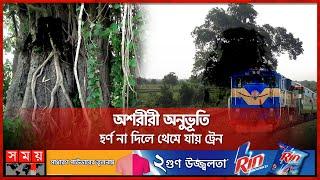 শতবর্ষী বটগাছের ভেতর এক রহস্যময় তালগাছ  Mysterious Tree  Chapainawabganj  Somoy TV