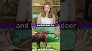 The Biggest Deer That Ever Lived